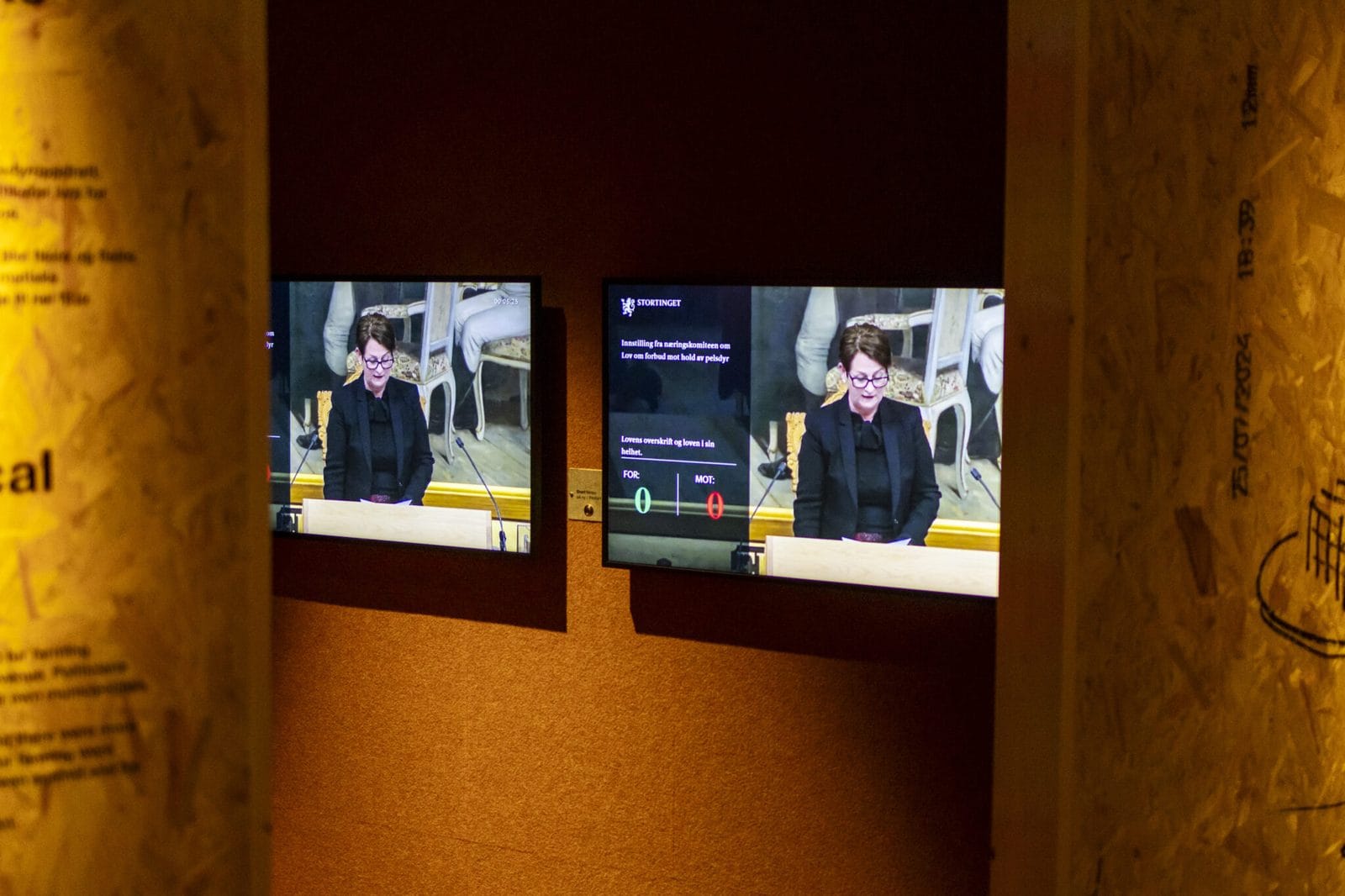 To skjermer på en vegg som viser video fra den politiske behandlingen av pelsdyrnæringen